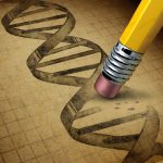 L’ADN recombinant et les Anticorps monoclonaux