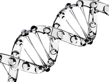 Recombinant DNA