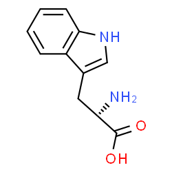 L-Tryptophan Structure