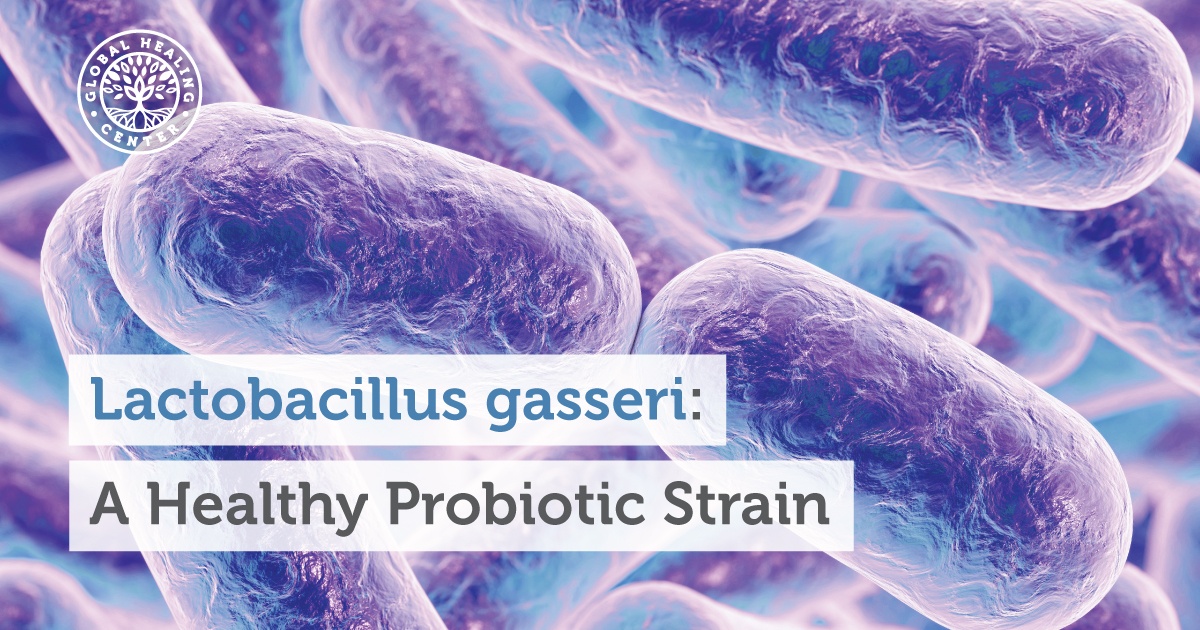 Lactobacillus-gasseri Source : globalhealing.com
